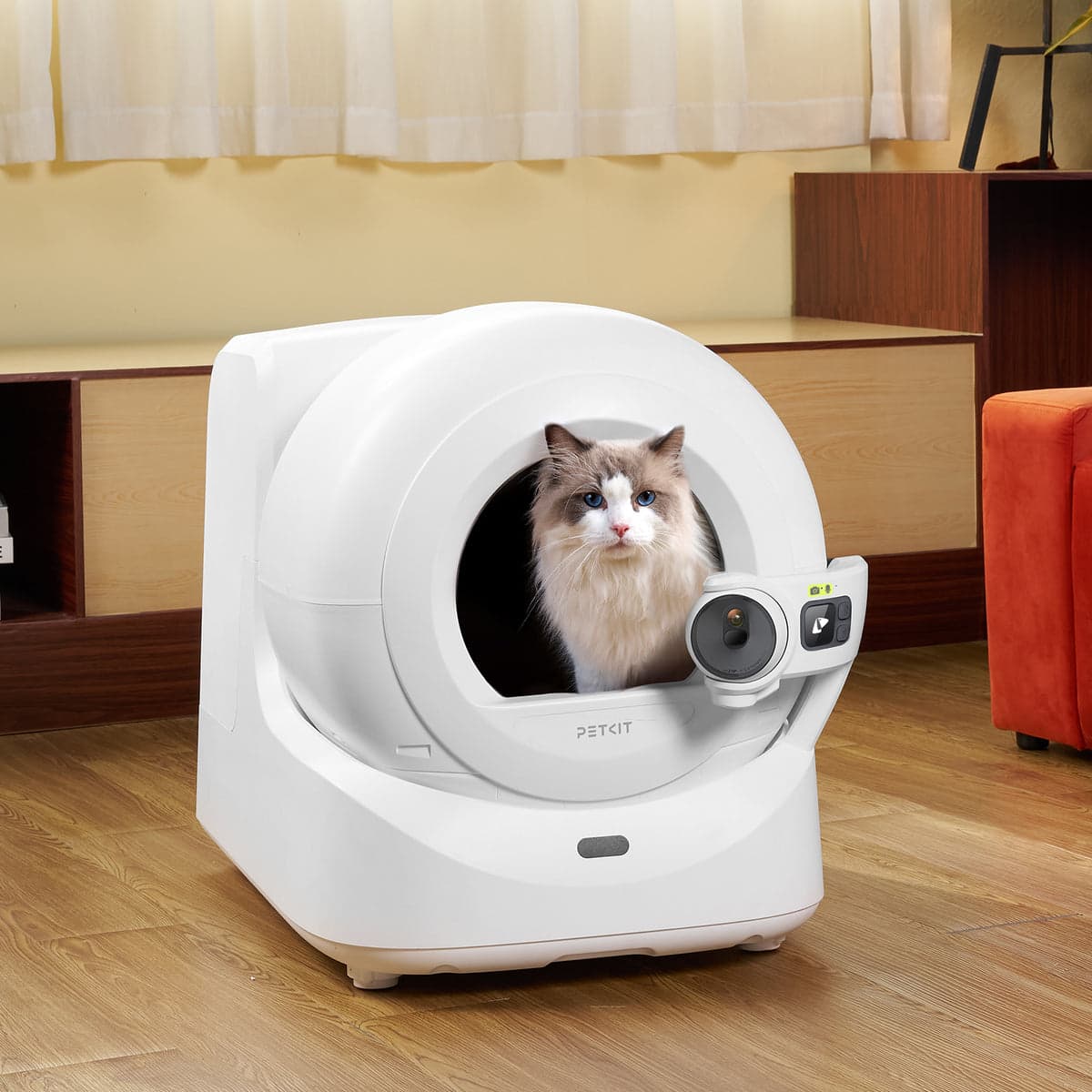 Kot korzystający z kuwety PETKIT Purobot Ultra w jasnym, domowym wnętrzu